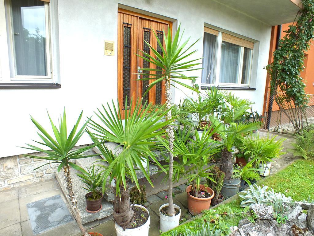 Biba Rooms Karlovac Esterno foto